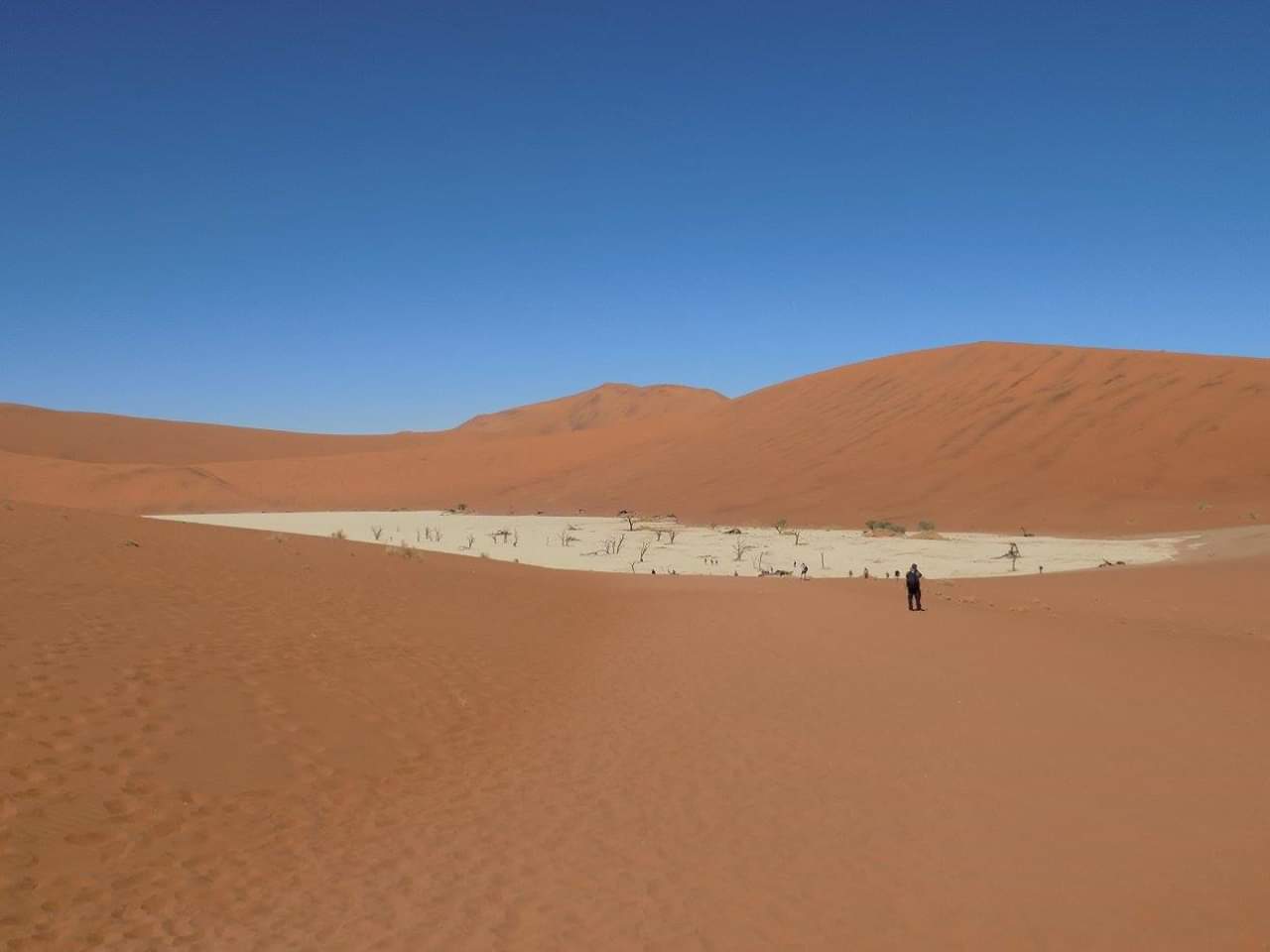 Deadvlei, an ancient, dried out lake