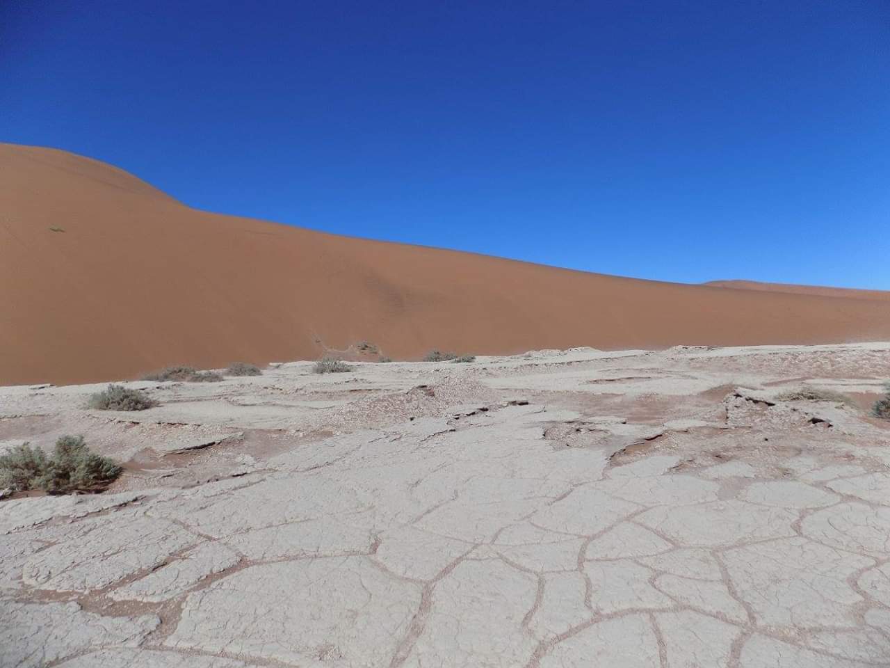 The dried, cracked claybed of the former lake
